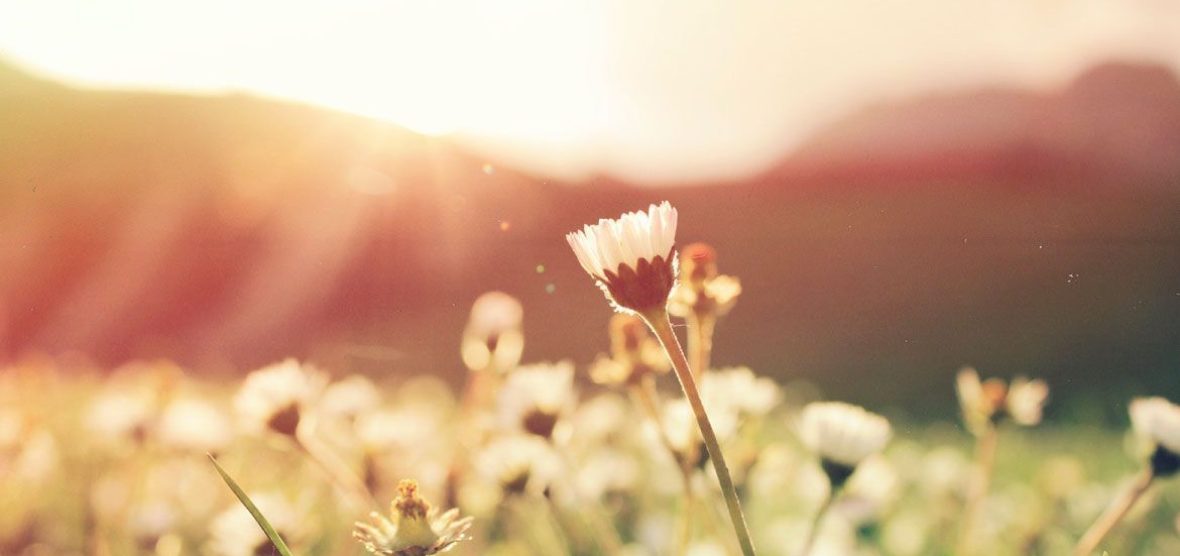 aboutwhite-primavera-luz